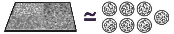 1_teglia~7pizze