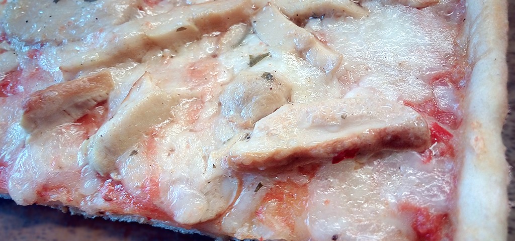 porcini