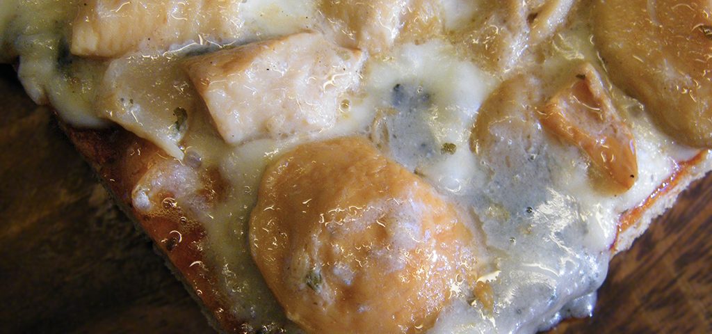 porcini_e_gorgonzola